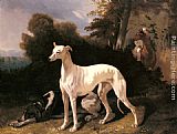 A Greyhound In An Extensive Landscape